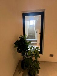 Coral Island (D4), Detached #501866821